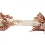 Bone with meat